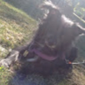 Meet your Posher, Marissa